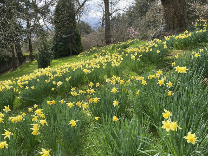 Brook Hall Estate & Gardens